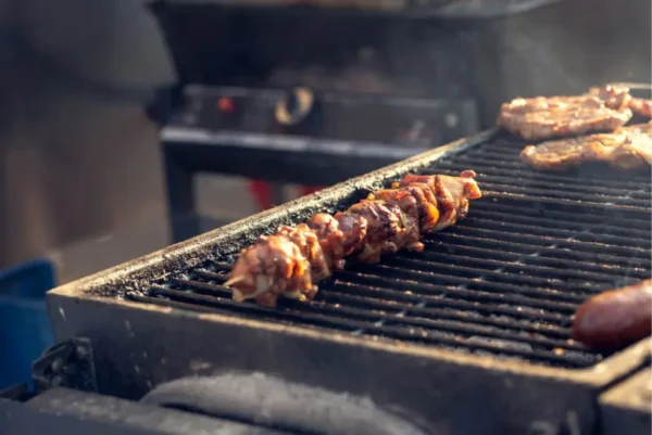 Rešetka za žar ali žar plošča? | Glavne razlike in uporaba